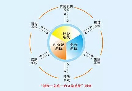 年末女人荷尔蒙更易失衡！5件事教你躲过一“劫”