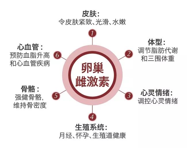 卵巢是分泌雌激素的器官，女性也离不开雌激素